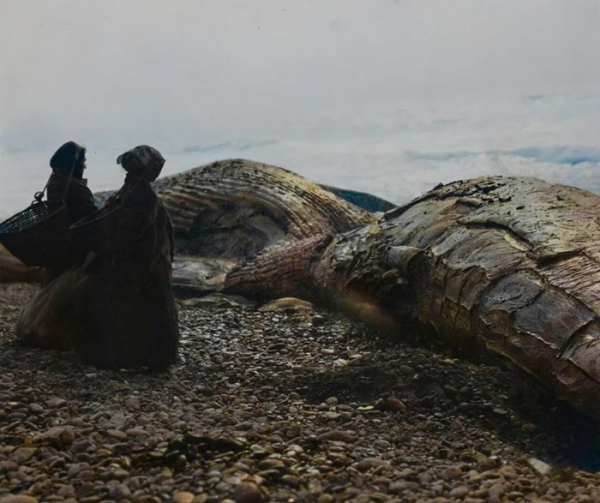 Редкие исторические фотографии, которые передают атмосферу времени Редкие исторические фотографии, которые передают атмосферу времени