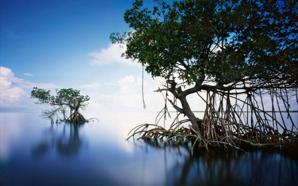10 мест, которые надо посетить, пока они не исчезли 10 мест, которые надо посетить, пока они не исчезли