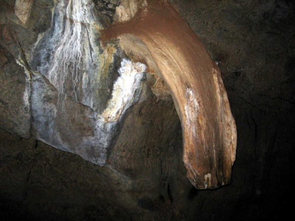 Пещеры Судвала – древнейшая пещерная система нашей планеты Пещеры Судвала – древнейшая пещерная система нашей планеты