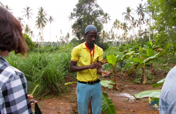 Отдых на Занзибаре (Танзания) — 2020: мой отзыв и цены Отдых на Занзибаре (Танзания) — 2020: мой отзыв и цены