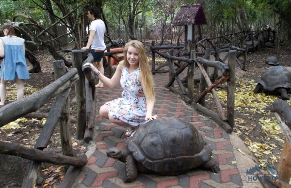 Отдых на Занзибаре (Танзания) — 2020: мой отзыв и цены Отдых на Занзибаре (Танзания) — 2020: мой отзыв и цены