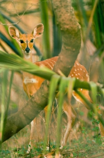 27 достопримечательностей, которые нужно успеть посетить, пока не поздно 27 достопримечательностей, которые нужно успеть посетить, пока не поздно