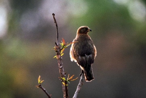 27 достопримечательностей, которые нужно успеть посетить, пока не поздно 27 достопримечательностей, которые нужно успеть посетить, пока не поздно