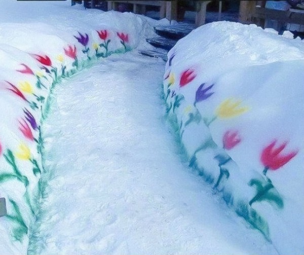 16 вещей, которые вы увидите только в Канаде 16 вещей, которые вы увидите только в Канаде