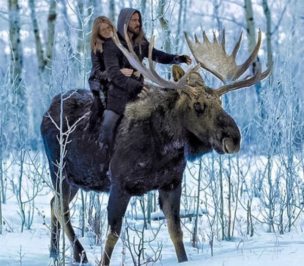 16 вещей, которые вы увидите только в Канаде 16 вещей, которые вы увидите только в Канаде