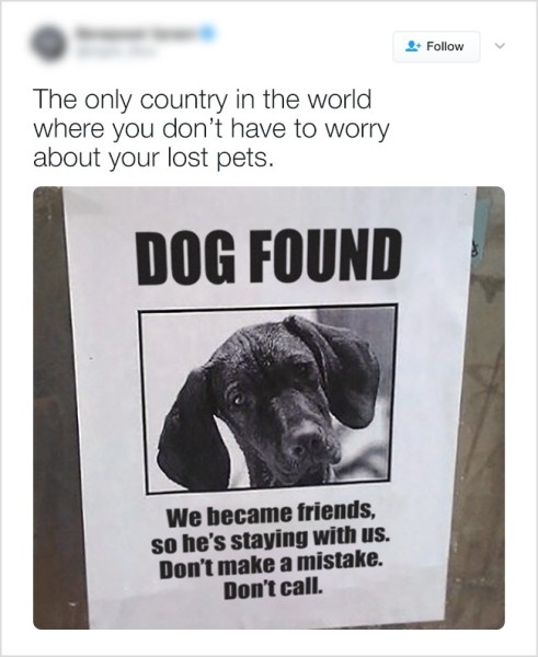 16 вещей, которые вы увидите только в Канаде 16 вещей, которые вы увидите только в Канаде