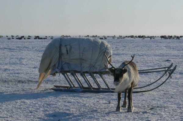 Как выглядят самые крайние точки России Как выглядят самые крайние точки России