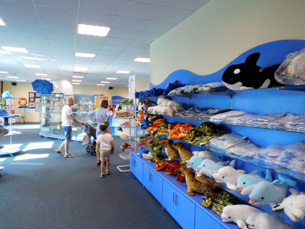 Океанариум в Сочи: 10 советов перед посещением Океанариум в Сочи: 10 советов перед посещением