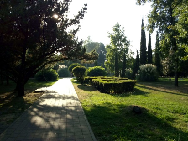 Океанариум в Сочи: 10 советов перед посещением Океанариум в Сочи: 10 советов перед посещением