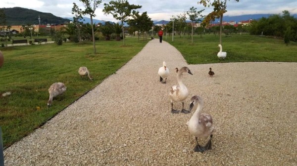 Топ-10 парков Сочи, которые нужно обязательно посетить Топ-10 парков Сочи, которые нужно обязательно посетить