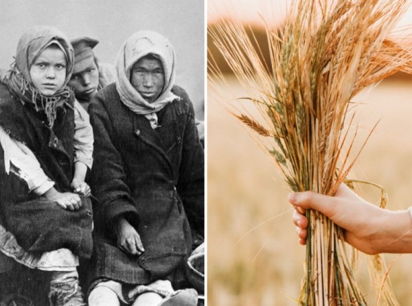 Странные, жесткие и нелепые законы, которые действовали в СССР Странные, жесткие и нелепые законы, которые действовали в СССР