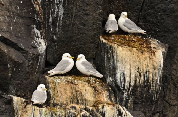 Как выглядят самые крайние точки России Как выглядят самые крайние точки России