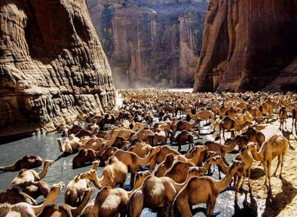 6 захватывающих мест, которые стоит посетить в Египте 6 захватывающих мест, которые стоит посетить в Египте