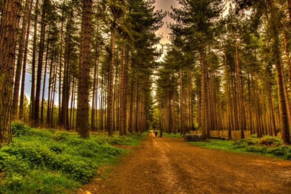 Достопримечательности Англии: Топ-25 Достопримечательности Англии: Топ-25