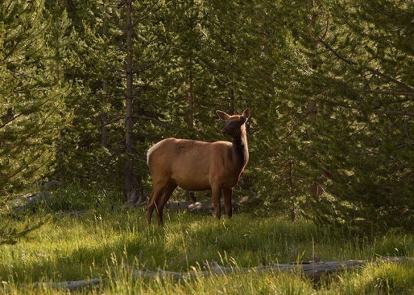 Местные делятся тем, какие выходки туристов особенно выбесили их Местные делятся тем, какие выходки туристов особенно выбесили их