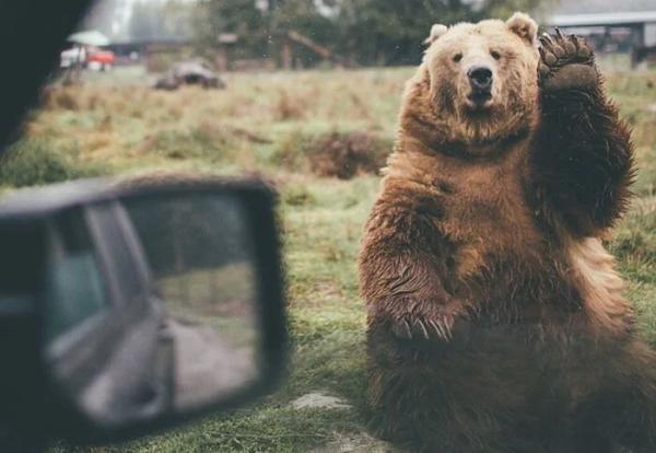 Местные делятся тем, какие выходки туристов особенно выбесили их Местные делятся тем, какие выходки туристов особенно выбесили их