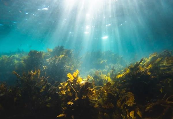 Местные делятся тем, какие выходки туристов особенно выбесили их Местные делятся тем, какие выходки туристов особенно выбесили их