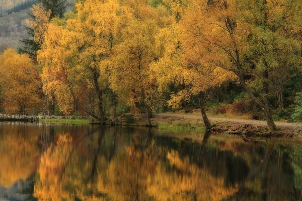 Параллельные миры Роджера Меррифилда Параллельные миры Роджера Меррифилда