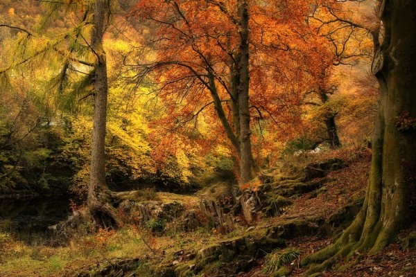 Параллельные миры Роджера Меррифилда Параллельные миры Роджера Меррифилда