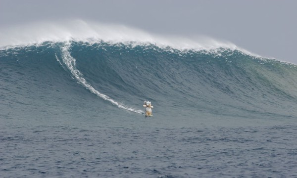 Потерянный плюшевый слоник путешествует по миру Потерянный плюшевый слоник путешествует по миру