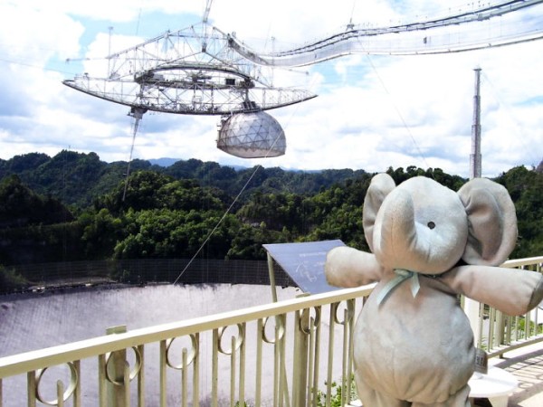 Потерянный плюшевый слоник путешествует по миру Потерянный плюшевый слоник путешествует по миру