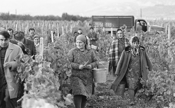 Повседневная жизнь в советской Грузии 1976 года в фотографиях шведского фотографа Повседневная жизнь в советской Грузии 1976 года в фотографиях шведского фотографа