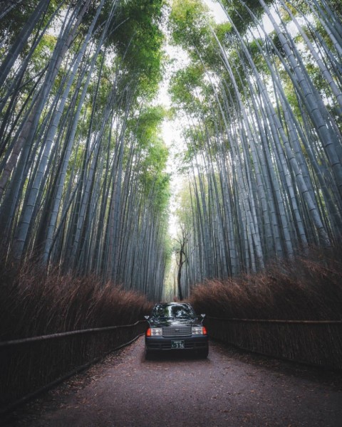 Замечательные приключенческие пейзажи Люка Джексона-Кларка Замечательные приключенческие пейзажи Люка Джексона-Кларка
