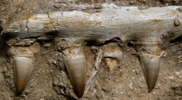 10 странных находок, обнаруженных учеными в Антарктиде 10 странных находок, обнаруженных учеными в Антарктиде