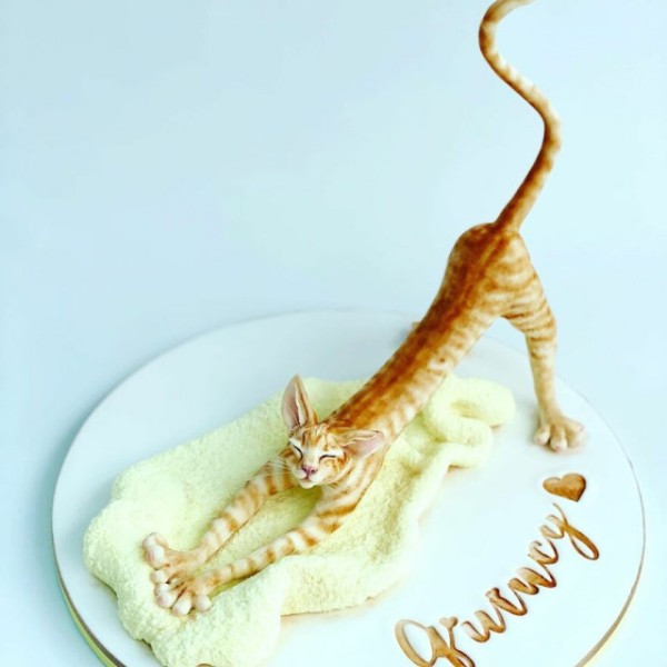 Кондитер печёт невероятно детализированные и реалистичные торты (29 фото) Кондитер печёт невероятно детализированные и реалистичные торты (29 фото)