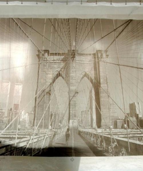 Необычные шторки для душа (25 фото)