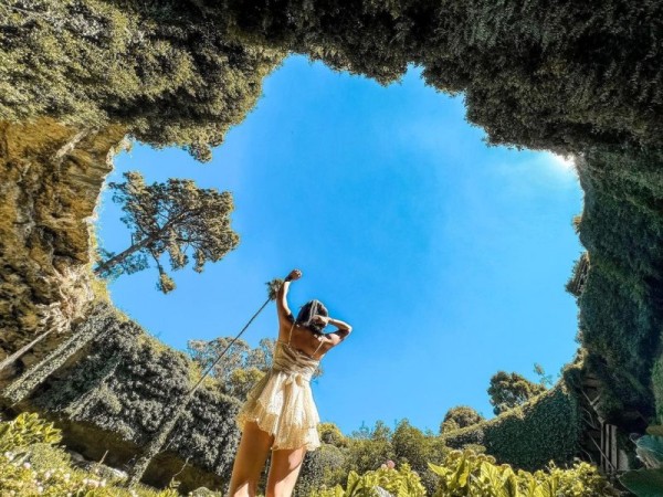 Удивительный сад из "Алисы в Стране чудес" Удивительный сад из "Алисы в Стране чудес"