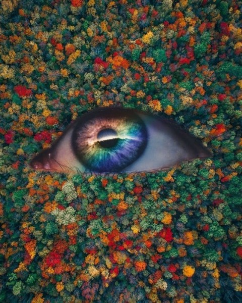 Удивительные фотоманипуляции Мануэля Беррио Удивительные фотоманипуляции Мануэля Беррио