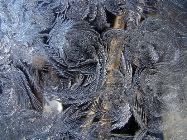 Зимнее волшебство на стекле (12 фото) Зимнее волшебство на стекле (12 фото)