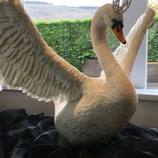 Кондитер печёт невероятно детализированные и реалистичные торты (29 фото) Кондитер печёт невероятно детализированные и реалистичные торты (29 фото)