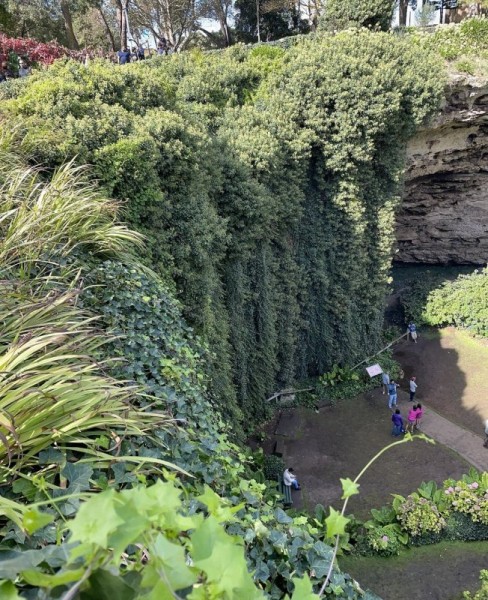 Удивительный сад из "Алисы в Стране чудес" Удивительный сад из "Алисы в Стране чудес"
