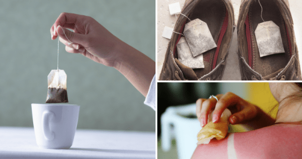 То, что вы не знали о чае То, что вы не знали о чае