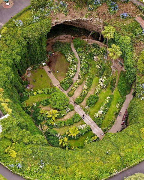 Удивительный сад из "Алисы в Стране чудес" Удивительный сад из "Алисы в Стране чудес"