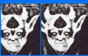 Странные и необъяснимые явления: появление стигматов и самовоспламенения Странные и необъяснимые явления: появление стигматов и самовоспламенения