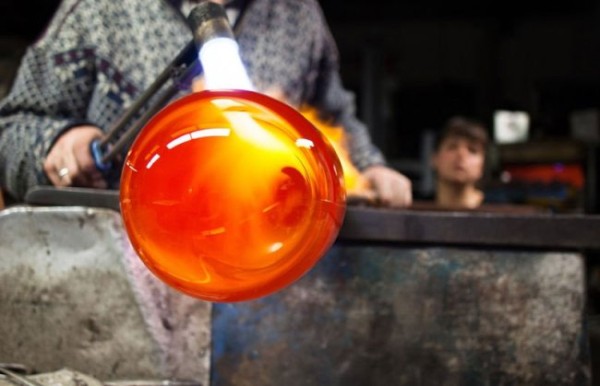 Растение-лампа, не требующее никакого ухода за собой (7 фото)