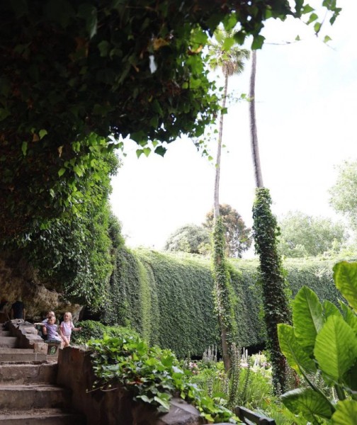 Удивительный сад из "Алисы в Стране чудес" Удивительный сад из "Алисы в Стране чудес"