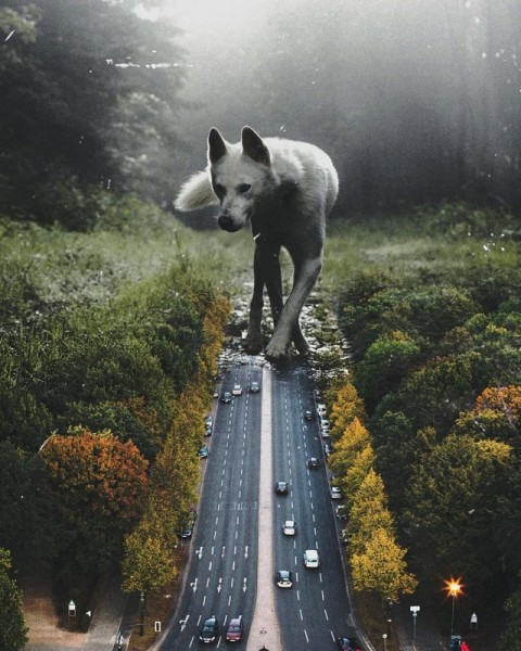 Удивительные фотоманипуляции Мануэля Беррио Удивительные фотоманипуляции Мануэля Беррио