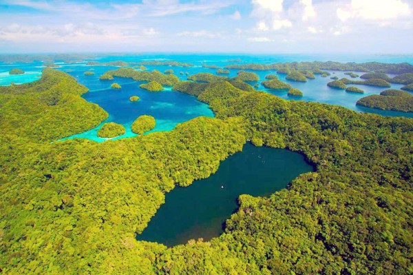 Удивительное озеро медуз Удивительное озеро медуз