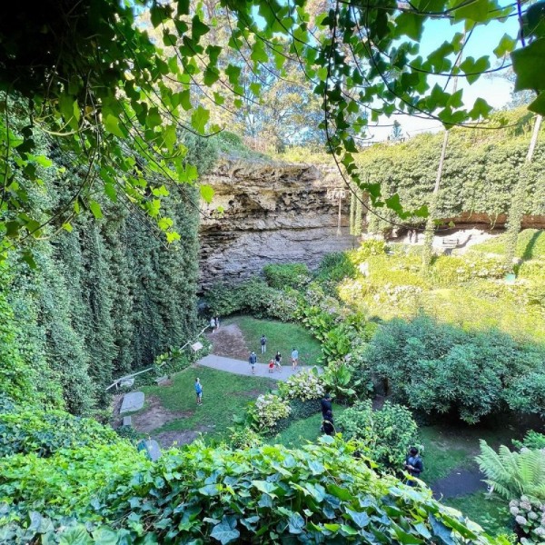 Удивительный сад из "Алисы в Стране чудес" Удивительный сад из "Алисы в Стране чудес"