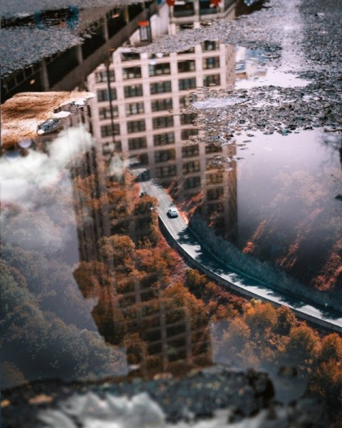 Удивительные фотоманипуляции Мануэля Беррио Удивительные фотоманипуляции Мануэля Беррио