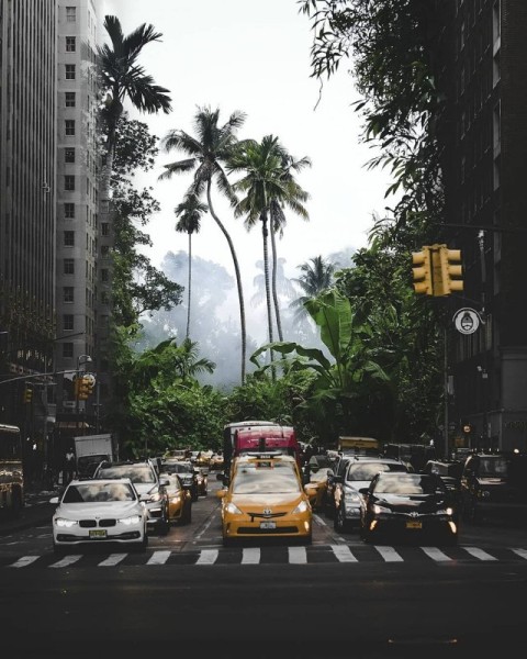 Удивительные фотоманипуляции Мануэля Беррио Удивительные фотоманипуляции Мануэля Беррио