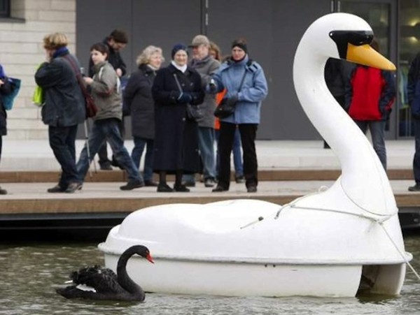 Интересное о катамаранах (11 фото) Интересное о катамаранах (11 фото)