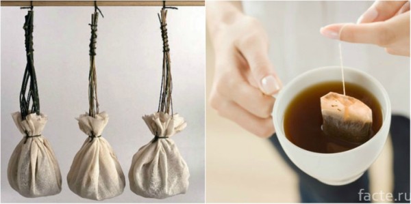 То, что вы не знали о чае То, что вы не знали о чае