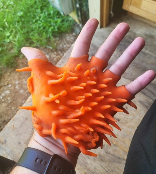 Объясните мне, что это за штука? (15 фото) Объясните мне, что это за штука? (15 фото)