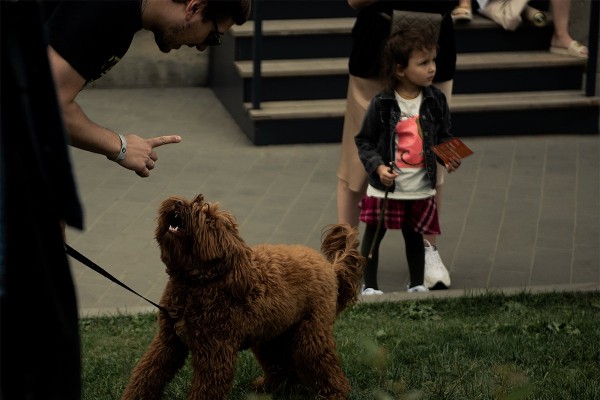 Лучшая музыка, стендап и очень много историй. Что делать на «Чтиво Фесте» и почему это лучшее мероприятие для завершения лета? Лучшая музыка, стендап и очень много историй. Что делать на «Чтиво Фесте» и почему это лучшее мероприятие для завершения лета?