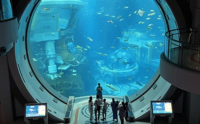 Агенты Loyalty в Дубае, или как собрать команду мечты Агенты Loyalty в Дубае, или как собрать команду мечты